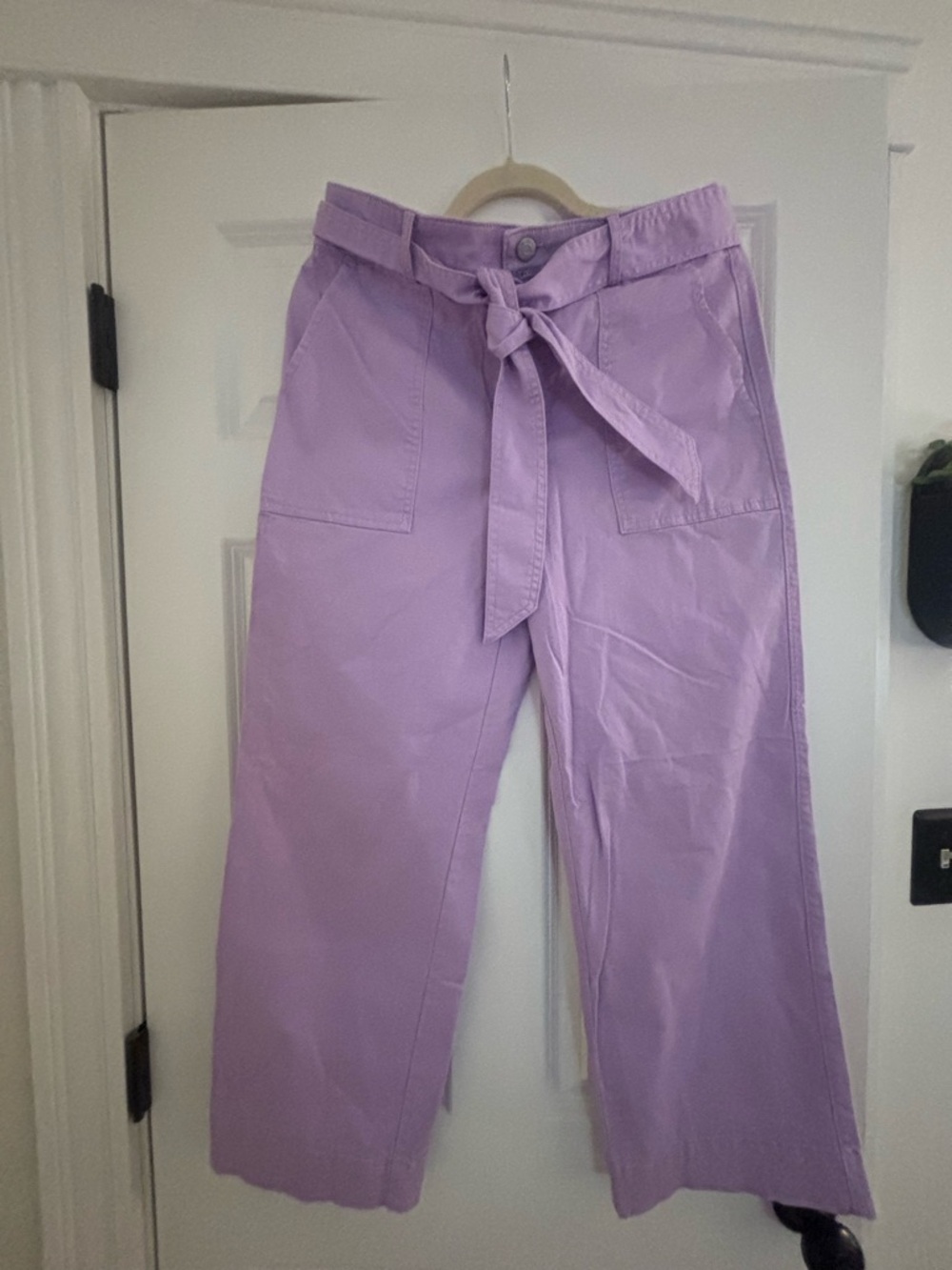 LOFT Lilac Tie-Waist Wide-Leg Pants